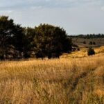 Property photo for land for sale in Furnas County Nebraska