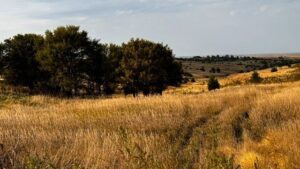 Property photo for land for sale in Furnas County Nebraska