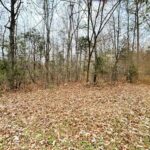 Property photo for land for sale in Stone County Arkansas