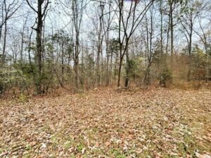 Property photo for land for sale in Stone County Arkansas