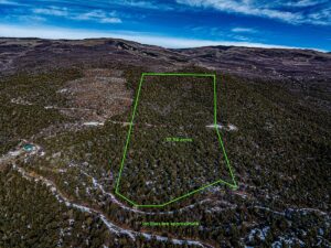 Property photo for land for sale in Delta County Colorado