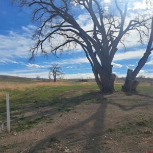 Property photo for land for sale in Montrose County Colorado