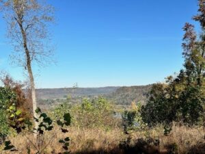 Property photo for land for sale in Jackson County Tennessee