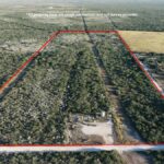 Property photo for land for sale in Duval County Texas