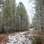 Property photo for land for sale in Clearwater County Idaho