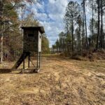 Property photo for land for sale in Amite County Mississippi