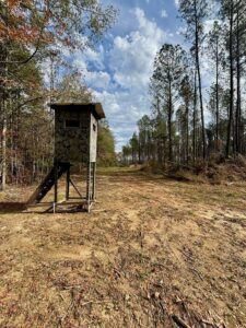 Property photo for land for sale in Amite County Mississippi