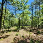 Property photo for land for sale in Le Flore County Oklahoma