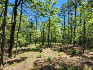 Property photo for land for sale in Le Flore County Oklahoma