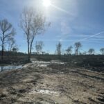 Property photo for land for sale in Morehouse County Louisiana