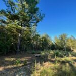 Property photo for land for sale in Upshur County Texas