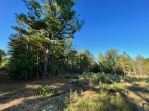 Property photo for land for sale in Upshur County Texas