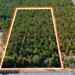 Property photo for land for sale in Suwannee County Florida