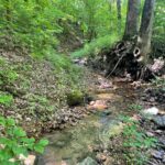 Property photo for land for sale in Perry County Tennessee