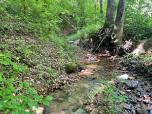 Property photo for land for sale in Perry County Tennessee