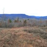 Property photo for land for sale in Newton County Arkansas