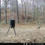 Property photo for land for sale in Wilkinson County Mississippi