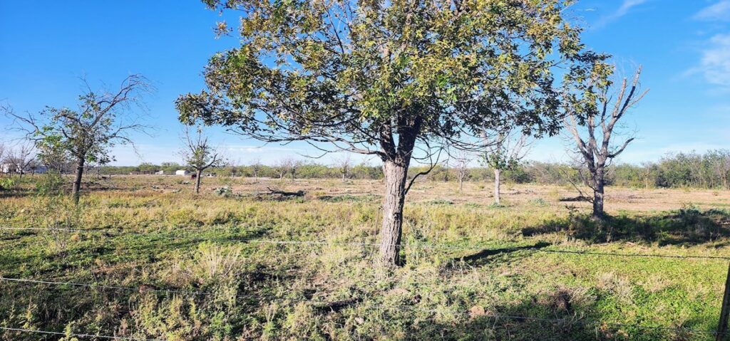 Property photo for land for sale in Irion County Texas