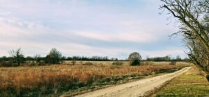 Property photo for land for sale in Howard County Missouri