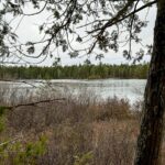 Property photo for land for sale in Washington County Maine