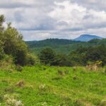 Property photo for land for sale in Carroll County Virginia