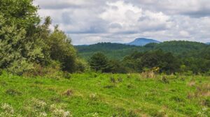 Property photo for land for sale in Carroll County Virginia