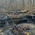 Property photo for land for sale in Lewis County Tennessee