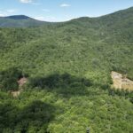 Property photo for land for sale in Albemarle County Virginia