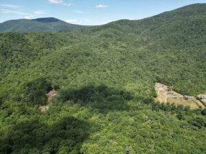 Property photo for land for sale in Albemarle County Virginia