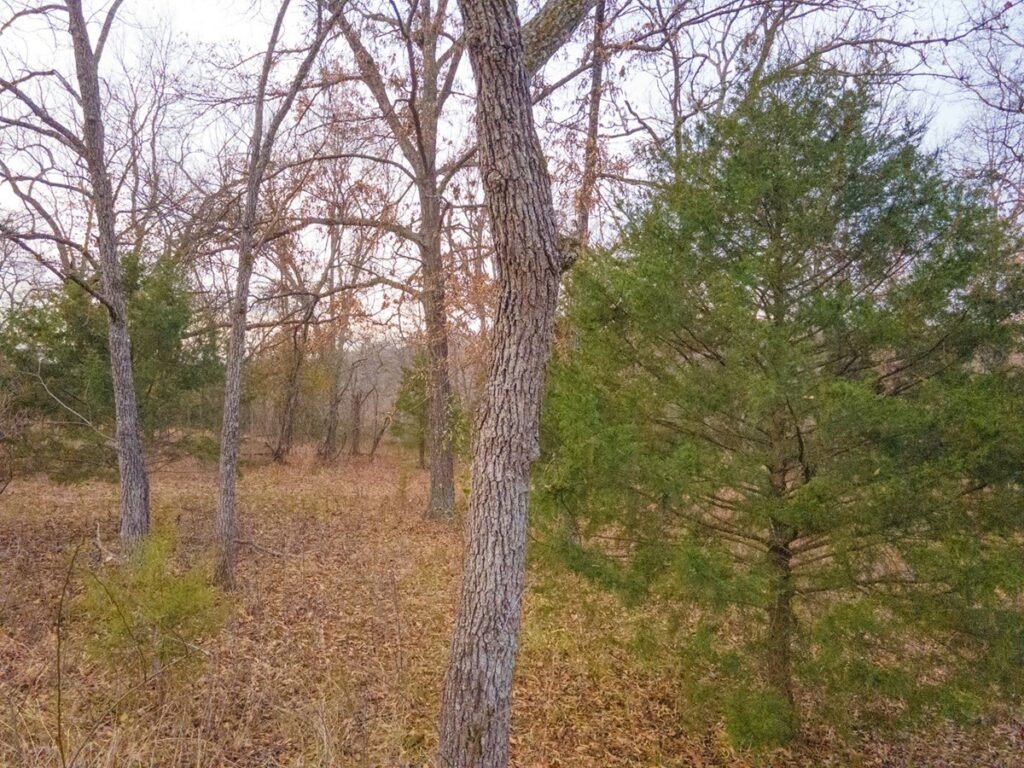 Property photo for land for sale in Benton County Missouri