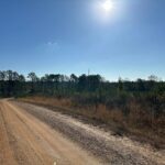 Property photo for land for sale in Union County Louisiana