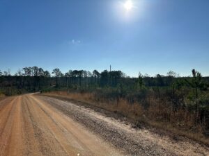 Property photo for land for sale in Union County Louisiana