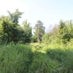 Property photo for land for sale in Boone County Arkansas