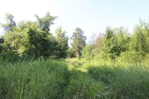 Property photo for land for sale in Boone County Arkansas