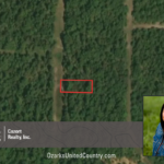 Property photo for land for sale in Izard County Arkansas