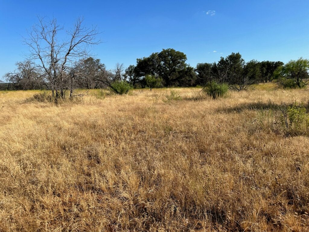 Property photo for land for sale in Brown County Texas