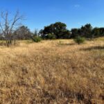 Property photo for land for sale in Brown County Texas