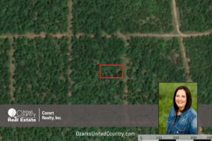 Property photo for land for sale in Izard County Arkansas