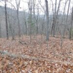 Property photo for land for sale in Newton County Arkansas