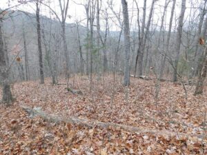 Property photo for land for sale in Newton County Arkansas