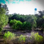 Property photo for land for sale in Bandera County Texas