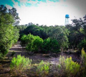 Property photo for land for sale in Bandera County Texas