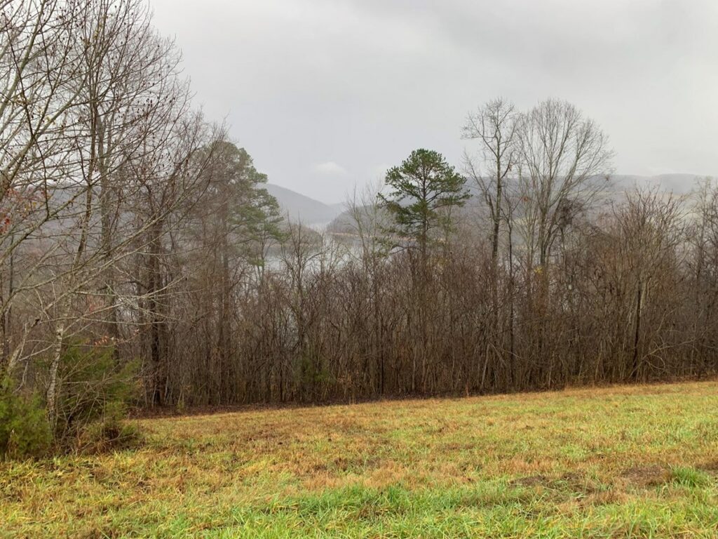 Property photo for land for sale in Claiborne County Tennessee