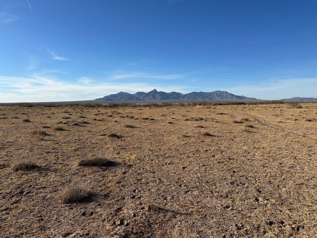 Property photo for land for sale in Luna County New Mexico