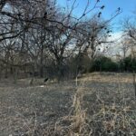 Property photo for land for sale in Brown County Texas