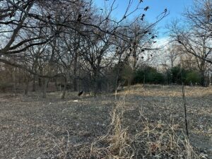 Property photo for land for sale in Brown County Texas