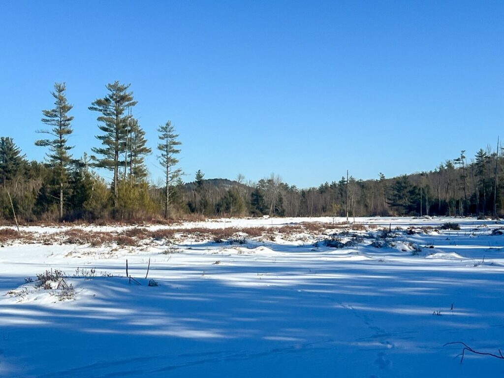 Property photo for land for sale in Oxford County Maine