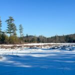 Property photo for land for sale in Oxford County Maine