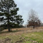 Property photo for land for sale in Bowie County Texas