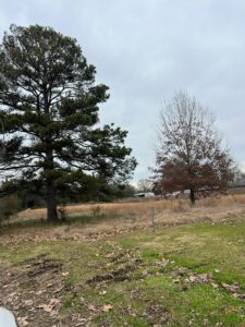 Property photo for land for sale in Bowie County Texas